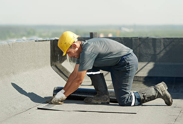 Best Professional Insulation Contractor  in Lynchburg, MS