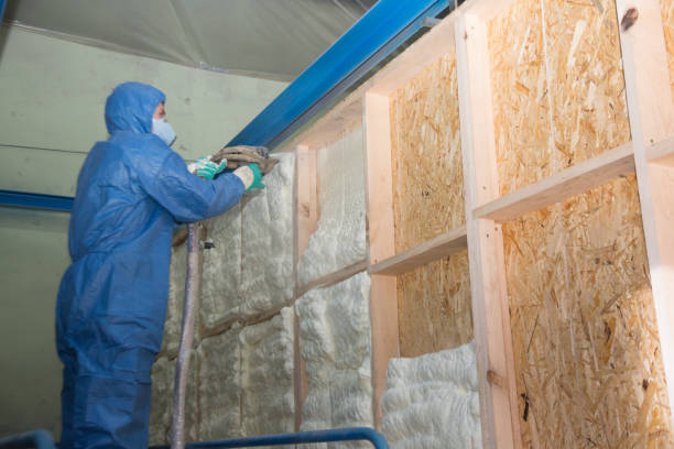 Best Home Insulation Services  in Lynchburg, MS